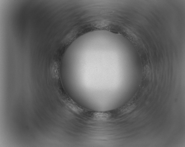 X0000073540234200608141100