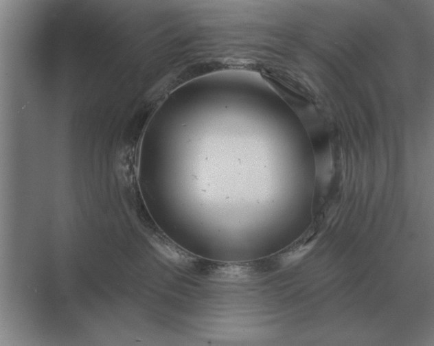 X0000073540237200608141100