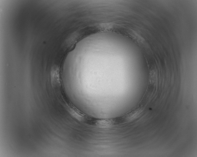 X0000073540238200608141100