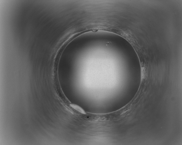 X0000073540243200608141059