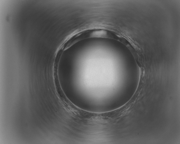 X0000073540244200608141059