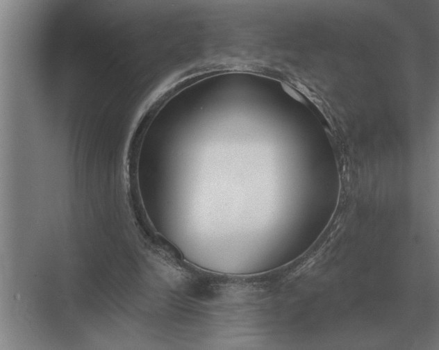 X0000073540246200608141059