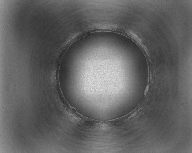 X0000073540249200608141059