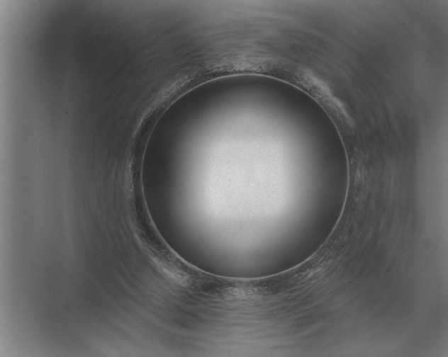 X0000073540250200608141059