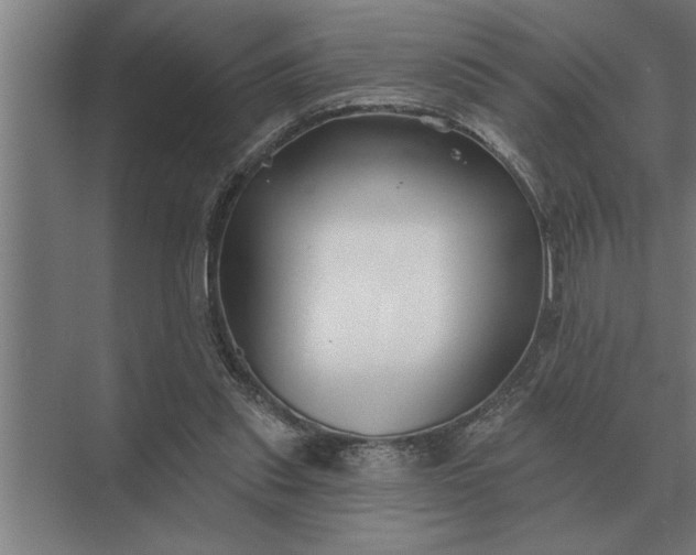 X0000073540253200608141100