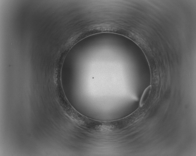 X0000073540255200608141100