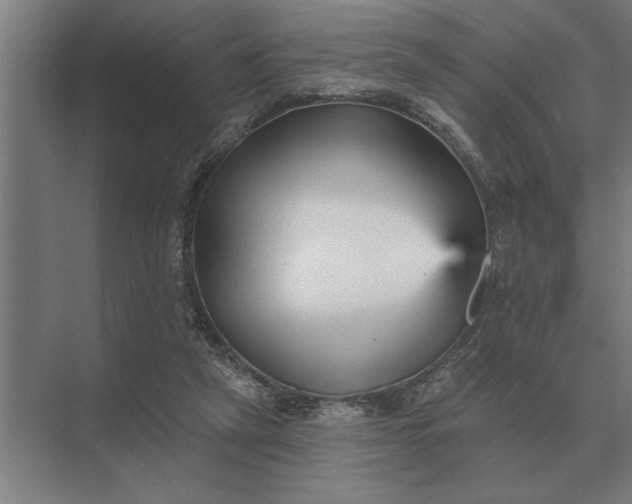 X0000073540257200608141100