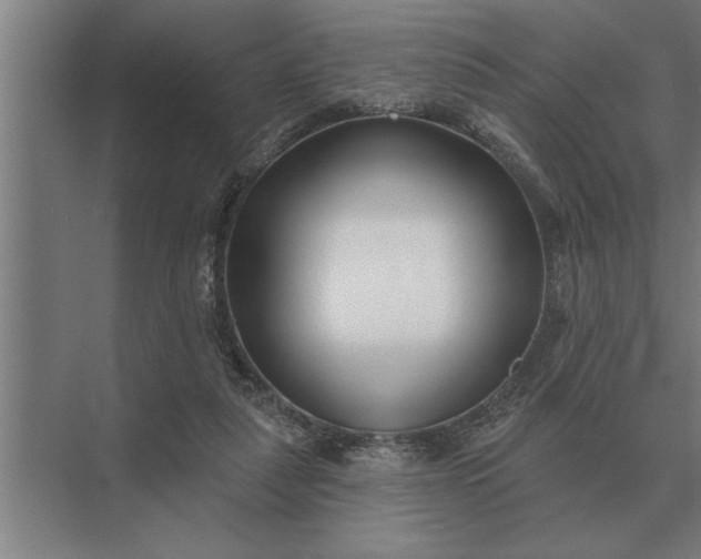 X0000073540259200608141100