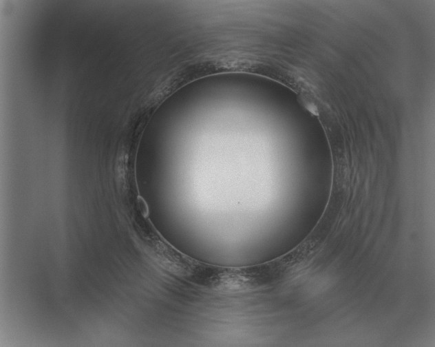 X0000073540263200608141100