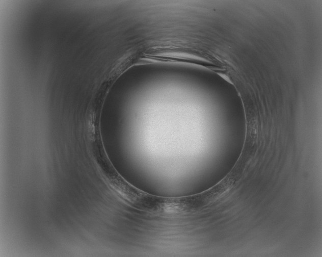 X0000073540264200608141100