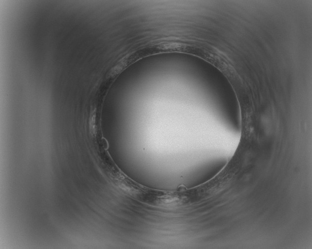 X0000073540267200608141100