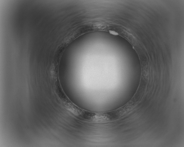 X0000073540270200608141100