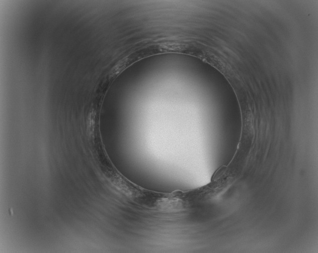 X0000073540271200608141100