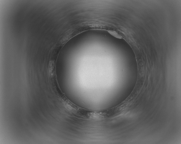 X0000073540273200608141100