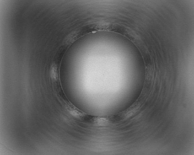 X0000073540287200608141100