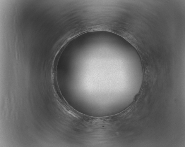X0000073540290200608141059
