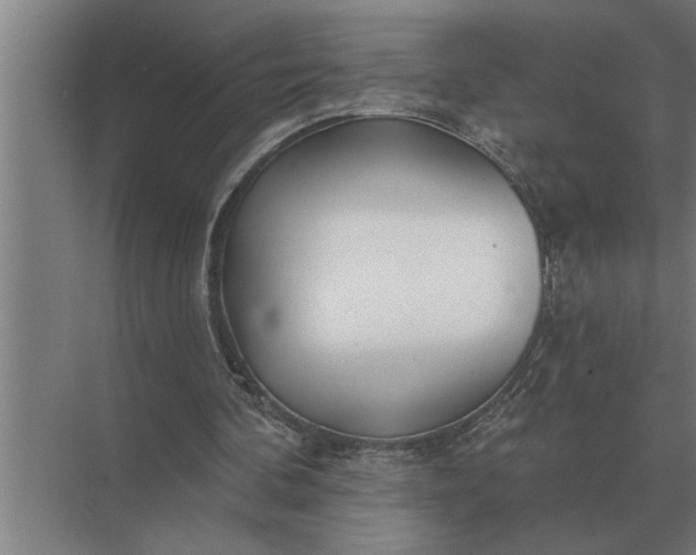 X0000073540292200608141059