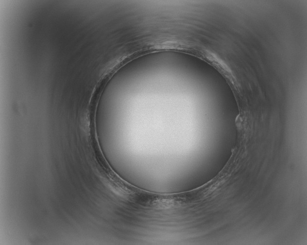 X0000073540298200608141059