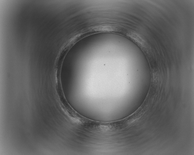 X0000073540302200608141059
