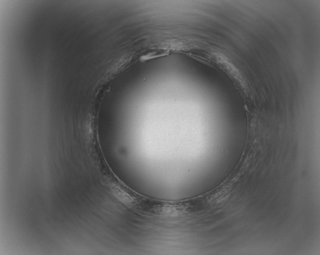 X0000073540305200608141059