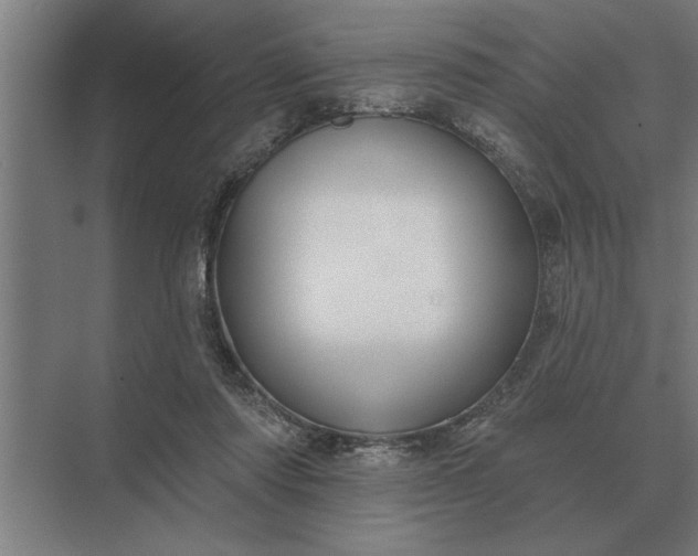 X0000073540310200608141059