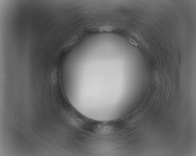 X0000073540311200608141059