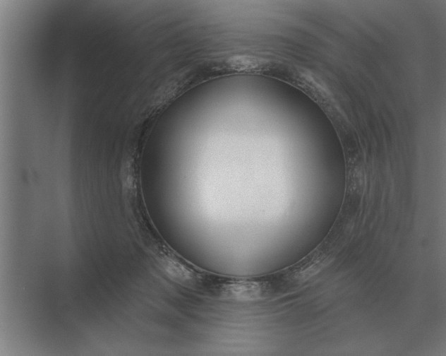 X0000073540317200608141059