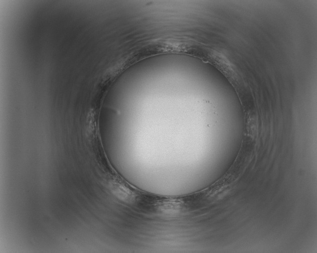 X0000073540318200608141059