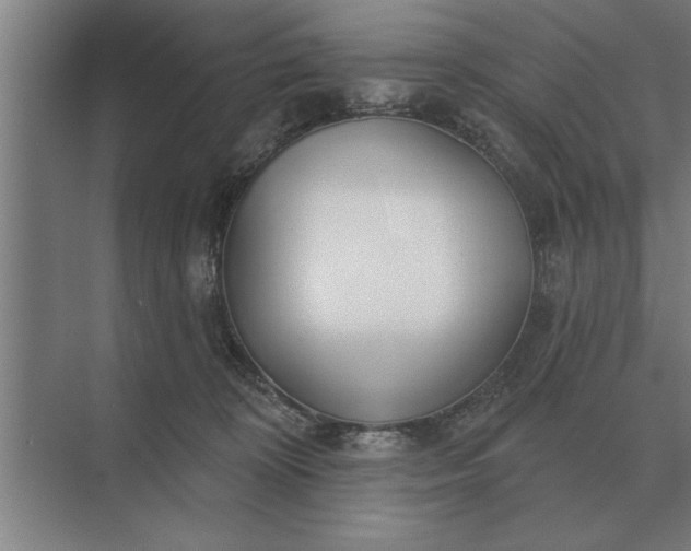 X0000073540324200608141059