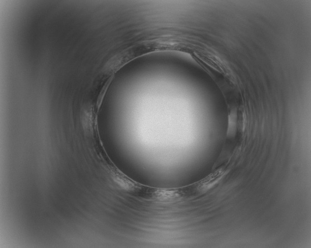 X0000073540333200608141059