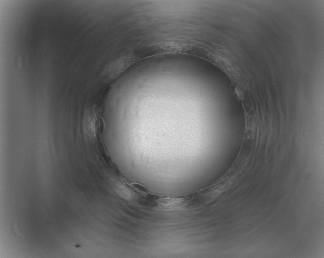 X0000073540334200608141059