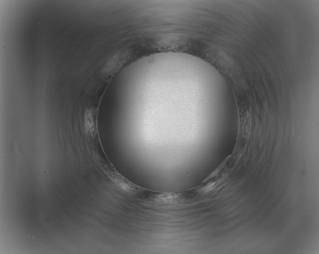 X0000073540335200608141059