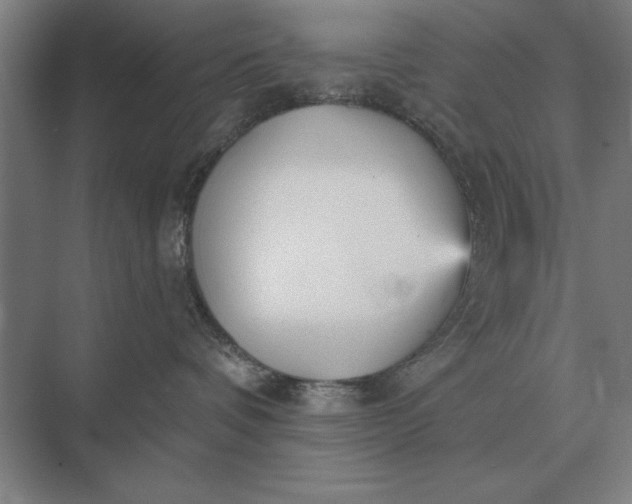 X0000073540336200608141059