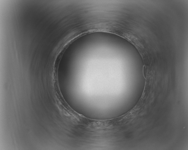 X0000073540338200608141058