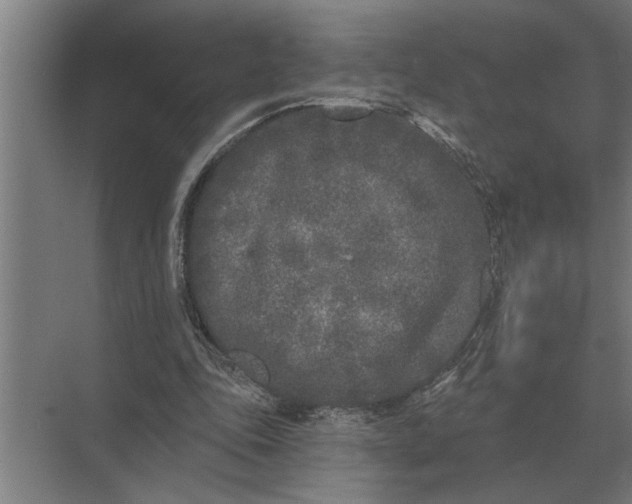 X0000073540343200608141058