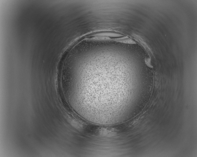 X0000073540346200608141058