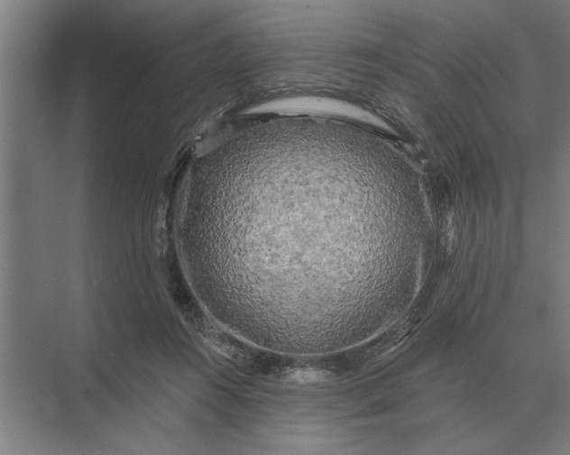 X0000073540360200608141058