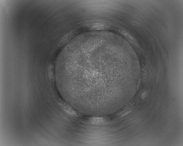 X0000073540361200608141058