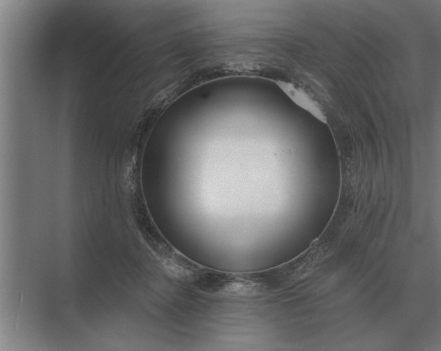 X0000073540364200608141058