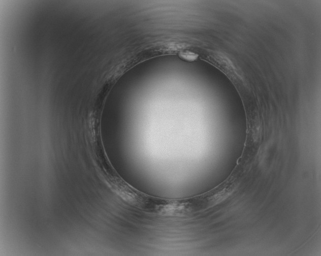 X0000073540366200608141058
