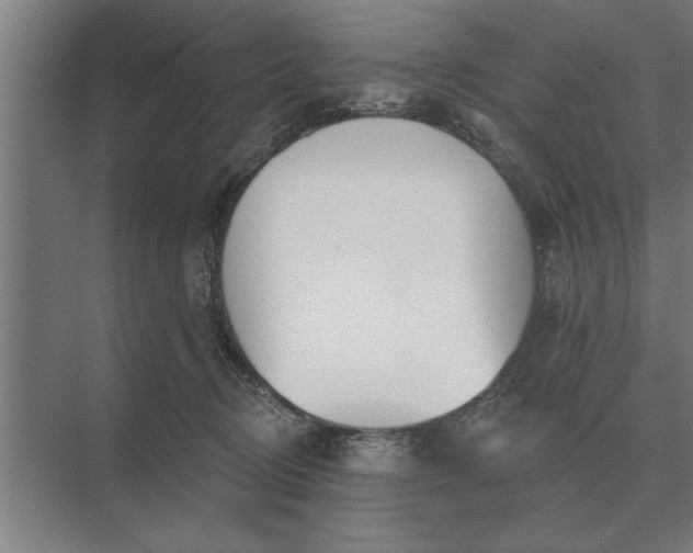 X0000073540370200608141058