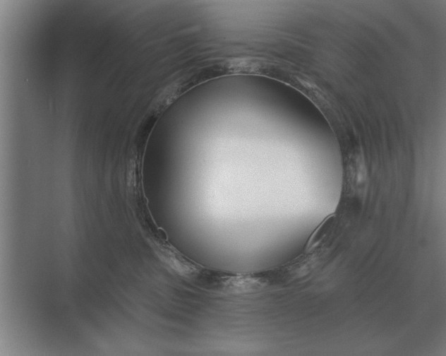 X0000073540379200608141058