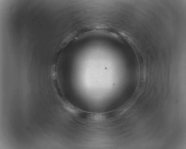 X0000073540383200608141058