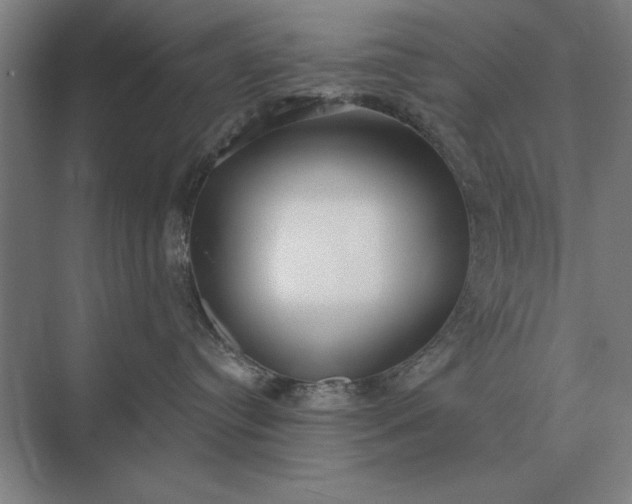 X0000073540384200608141058