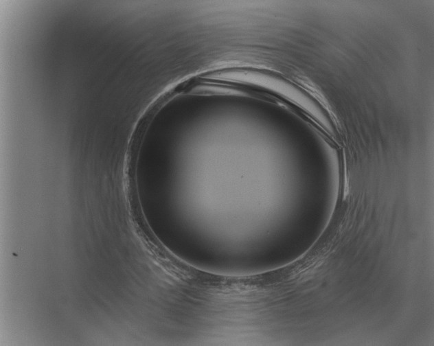 X0000073540387200608141058