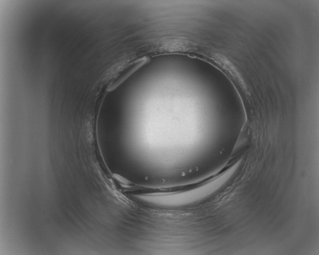 X0000073540393200608141058