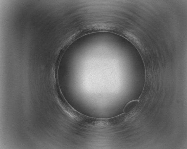 X0000073540398200608141057