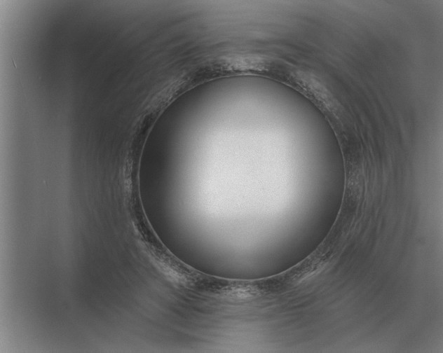 X0000073540402200608141057