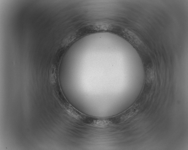 X0000073540414200608141057