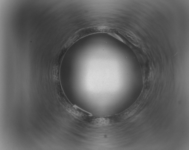 X0000073540421200608141057